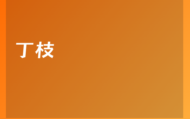 丁枝医生